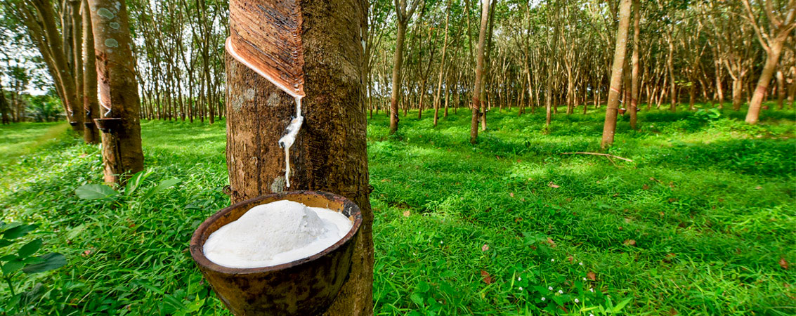 Global Rubber Corporation